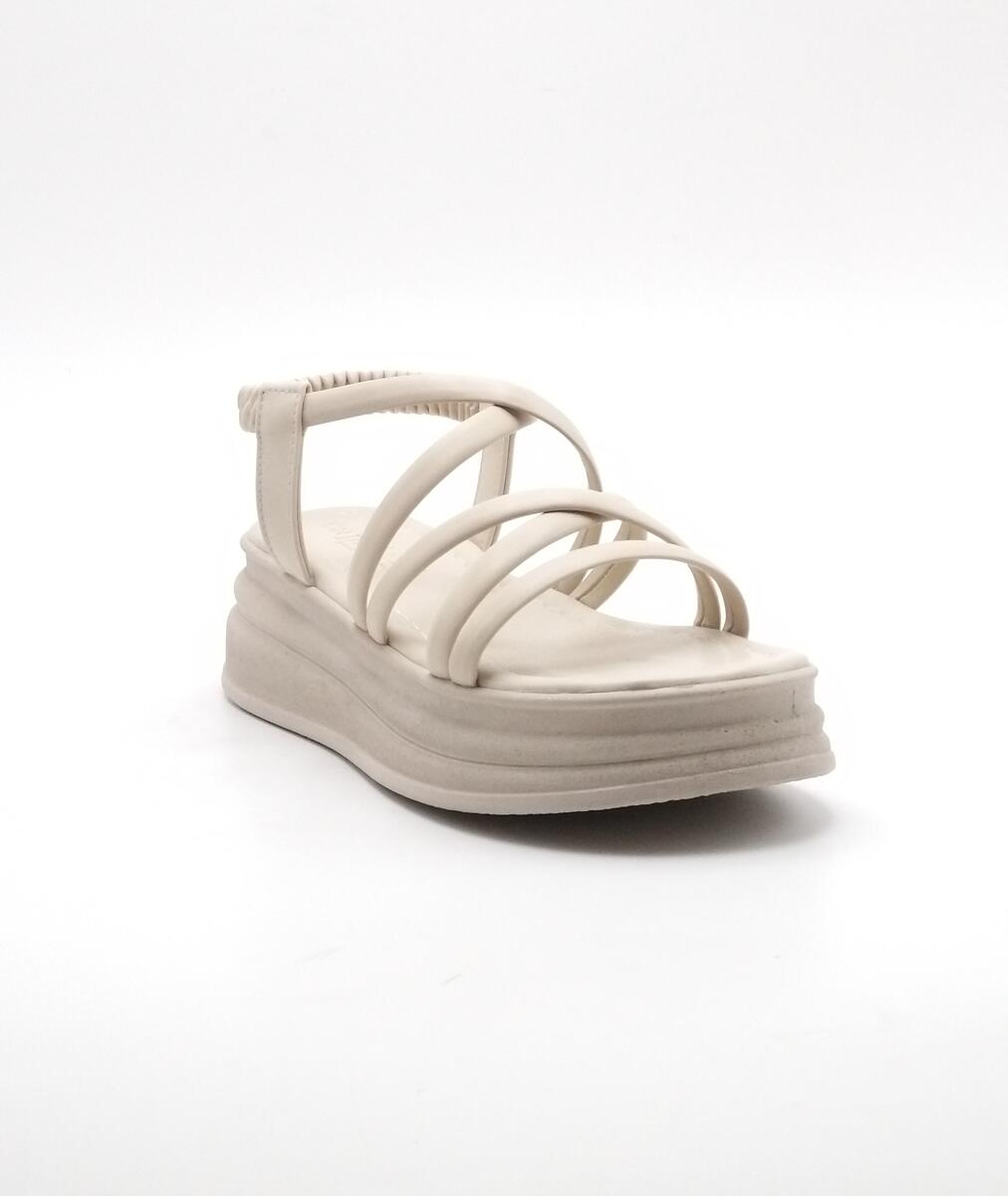 1241/Y-312/04-145146