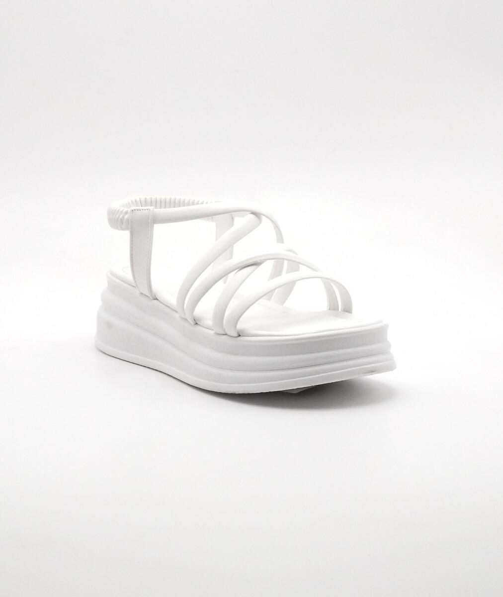 1241/Y-312/04-145147