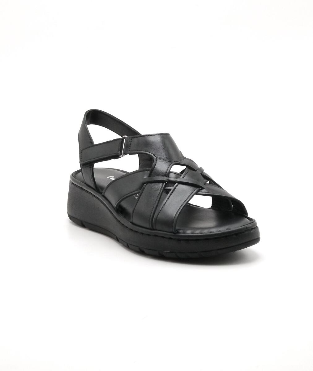 1137/Y-310-03/21-155570