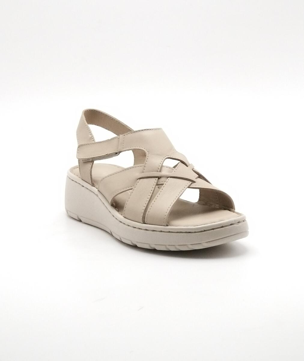 1137/Y-310-03/21-155571